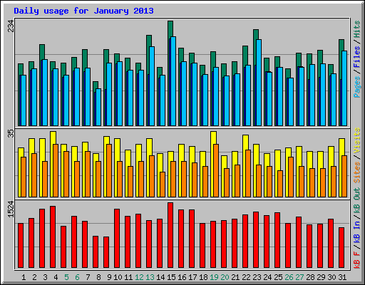 Daily usage for January 2013