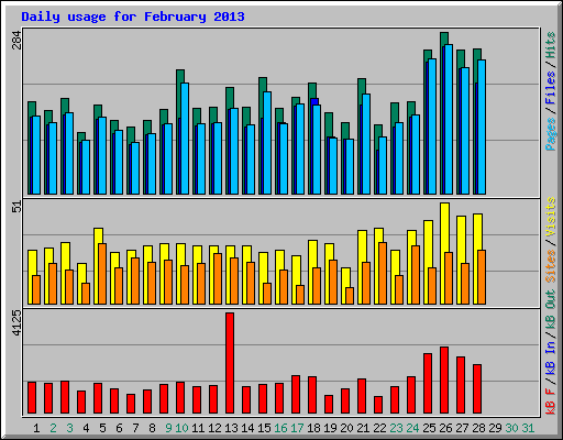 Daily usage for February 2013