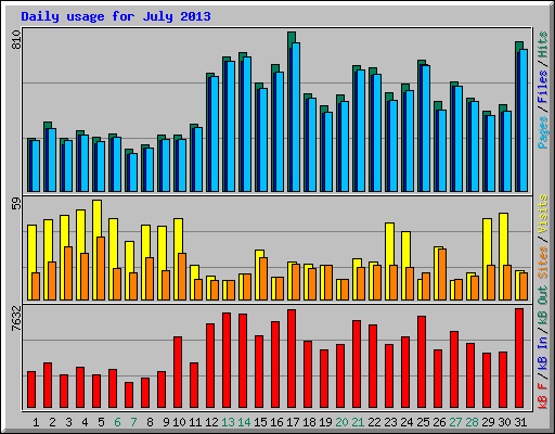 Daily usage for July 2013