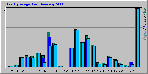 Hourly usage for January 2006