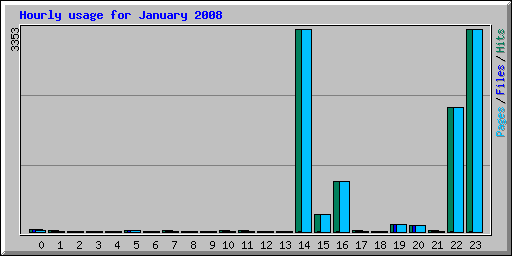 Hourly usage for January 2008