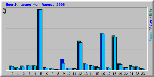 Hourly usage for August 2008
