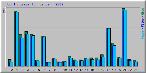 Hourly usage for January 2009