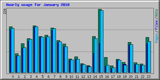 Hourly usage for January 2010