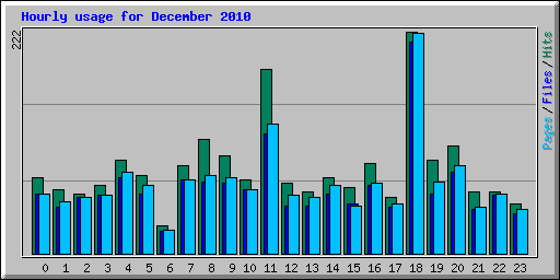 Hourly usage for December 2010