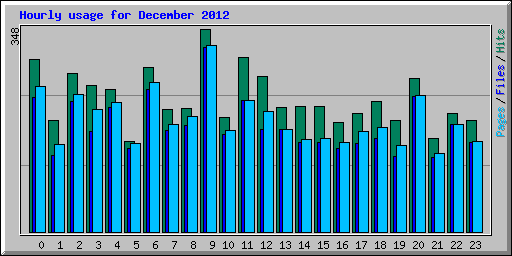 Hourly usage for December 2012