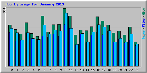 Hourly usage for January 2013