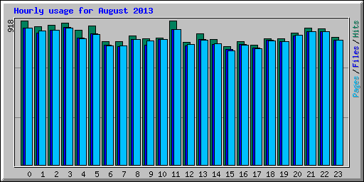 Hourly usage for August 2013
