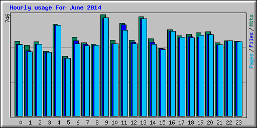 Hourly usage for June 2014